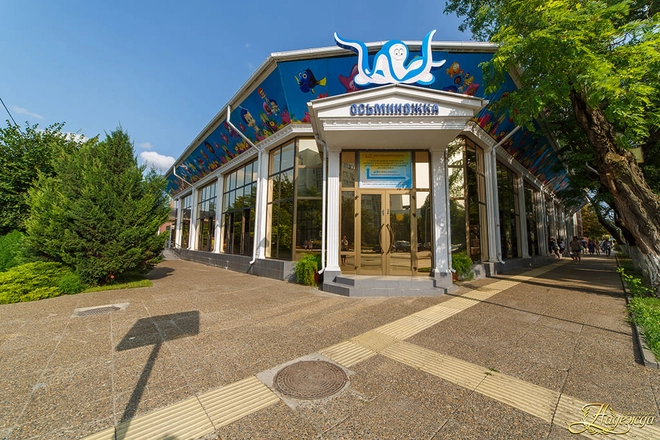 Санаторий &laquo;Надежда&raquo;, Анапа, изображение 10