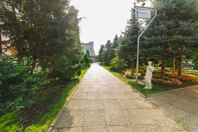 Санаторий &laquo;Надежда&raquo;, Анапа, изображение 13