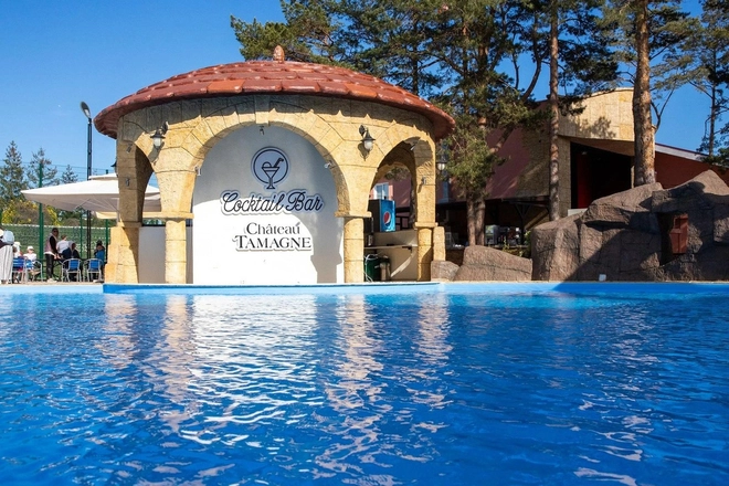 Отель &laquo;Алеан Фэмили Ривьера&raquo;, Анапа, изображение 6