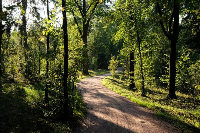 Санаторий &laquo;Переделкино&raquo;, Московская обл, изображение 13
