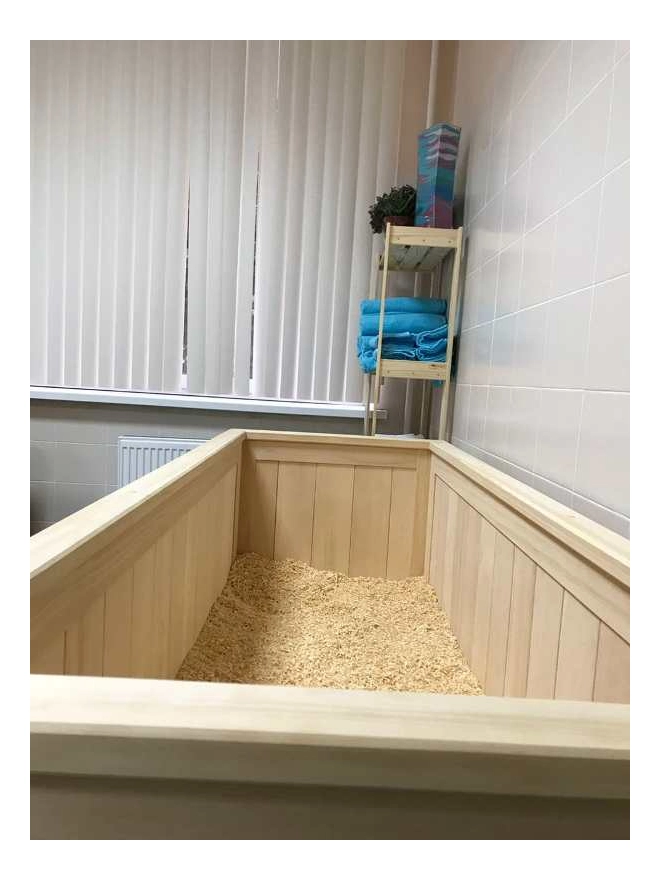 Отель &laquo;Оркестра Ока Спа Резорт&raquo;, Московская обл, изображение 12