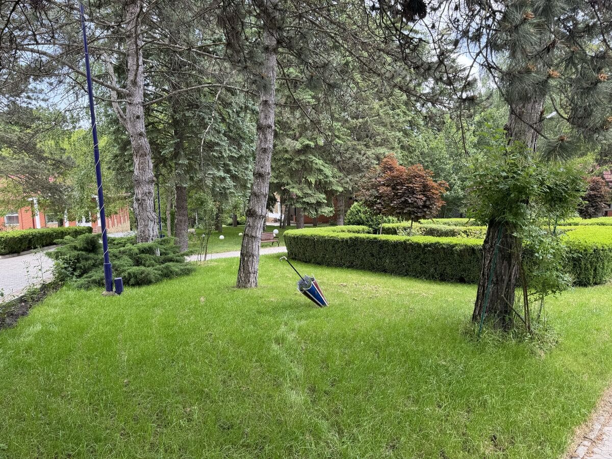 Санаторий «Лесной», Железноводск, изображение 4