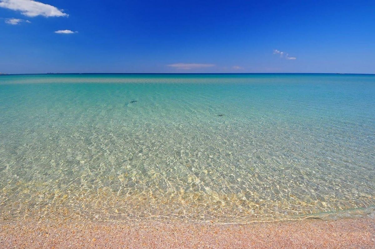 Санаторий «Мечта», Евпатория, изображение 5