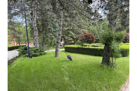 Санаторий «Лесной», Железноводск, изображение 4