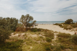 Отель «Лонг Бич», Анапа, изображение 6