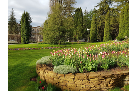 Санаторий «Москва», Ессентуки, изображение 3