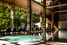 Отель «Форрест Терраса» (Forrest Terrace Hotel), Фиагдон, Северная Осетия, изображение 6