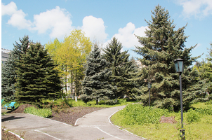 Санаторий «Голубые ели», Нальчик, изображение 3