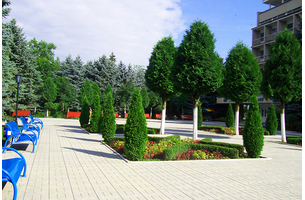 Санаторий «Голубые ели», Нальчик, изображение 4