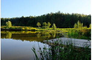 Санаторий «Переделкино», Московская обл, изображение 2