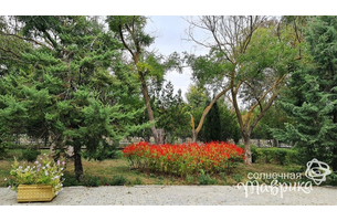 Санаторий «Дружба», Евпатория, изображение 6