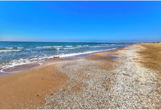 Пансионат «Урал», Анапа, изображение 6