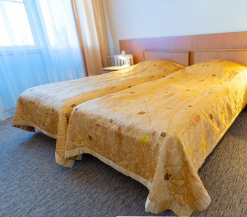 Двухместный двухкомнатный номер 1 категории Корп. 2