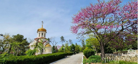 Санаторий «Дружба», Евпатория, изображение 25