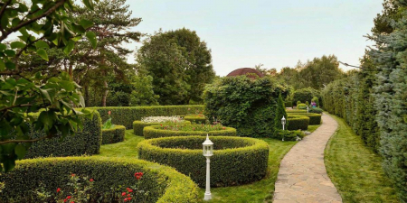 Санаторий «Кругозор», Кисловодск, изображение 6