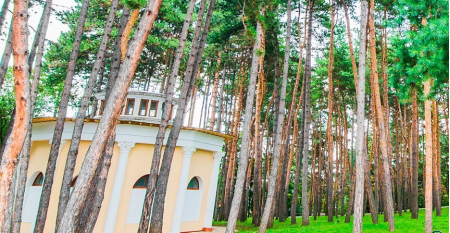 Санаторий «Орджоникидзе», Кисловодск, изображение 8