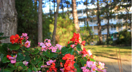 Пансионат «Урал», Анапа, изображение 28