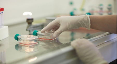 Пансионат «Урал», Анапа, изображение 14