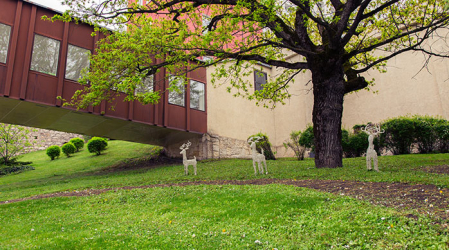 Санаторий «Горный Воздух», Железноводск, изображение 41