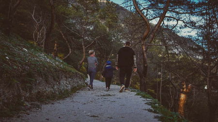 Отель «Форрест Терраса» (Forrest Terrace Hotel), Фиагдон, Северная Осетия, изображение 45