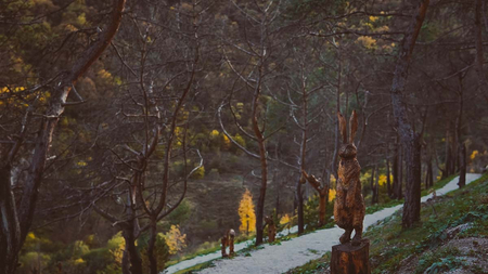 Отель «Форрест Терраса» (Forrest Terrace Hotel), Фиагдон, Северная Осетия, изображение 46