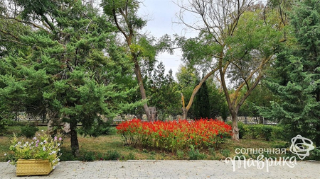 Санаторий «Дружба», Евпатория, изображение 6