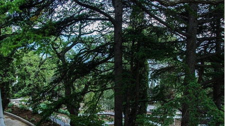 Номер Люкс двухкомнатный №2 (Морской прибой) - Санаторий «Ай-Петри», Ялта - 17