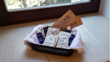 Номер Люкс (Дача «Диль-Рюба») - Санаторий «Ай-Петри», Ялта - 16