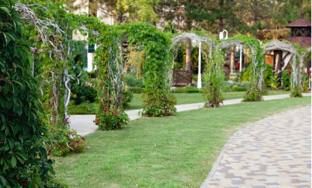 Санаторий «Алеан Фэмили Довиль», Анапа, изображение 68