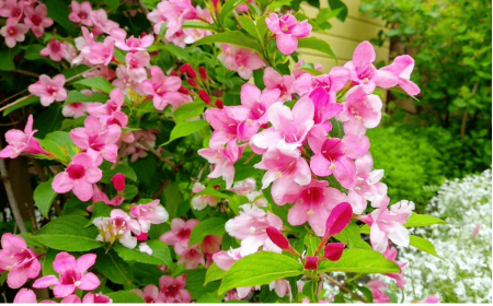 Медицинский центр «Княжна Мери», Железноводск, изображение 30