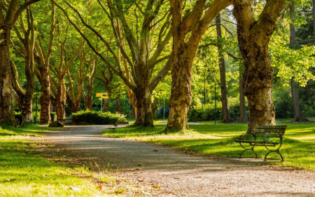 Санаторий «Москва», Кисловодск, изображение 31