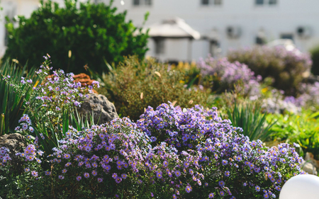 Санаторий «Полтава-Крым», Саки, изображение 22