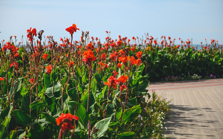 Санаторий «Полтава-Крым», Саки, изображение 34