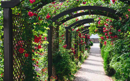 Санаторий «Полтава-Крым», Саки, изображение 38