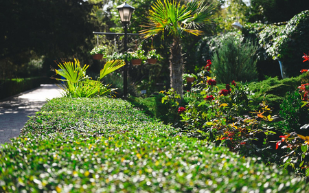 Санаторий «Полтава-Крым», Саки, изображение 57