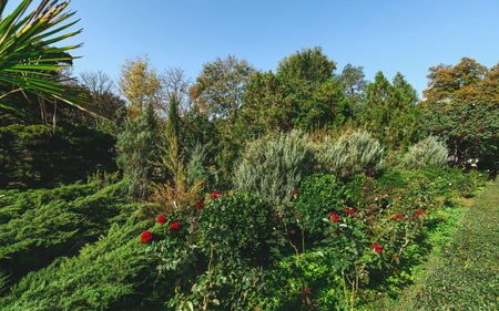 Санаторий «Полтава-Крым», Саки, изображение 59