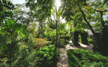 Санаторий «Полтава-Крым», Саки, изображение 61