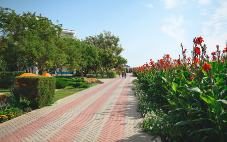 Санаторий «Полтава-Крым», Саки, изображение 68