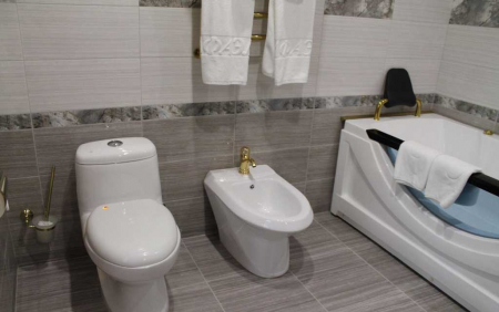 SPA-отель «Рафаэль», Железноводск, изображение 60