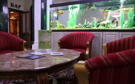 SPA-отель «Рафаэль», Железноводск, изображение 21