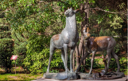 Санаторий «Гурзуфский», Ялта, изображение 41