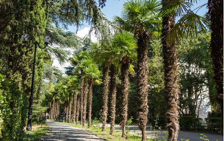 Санаторий «Гурзуфский», Ялта, изображение 42