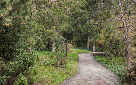 Санаторий «Гурзуфский», Ялта, изображение 84