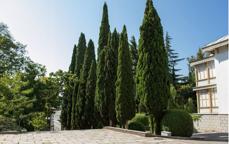 Санаторий «Гурзуфский», Ялта, изображение 94