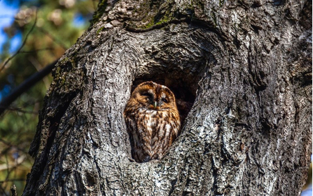 Санаторий «Гурзуфский», Ялта, изображение 97