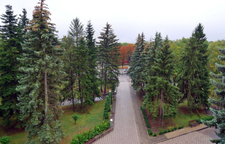 Санаторий «Жемчужина Кавказа», Ессентуки, изображение 41