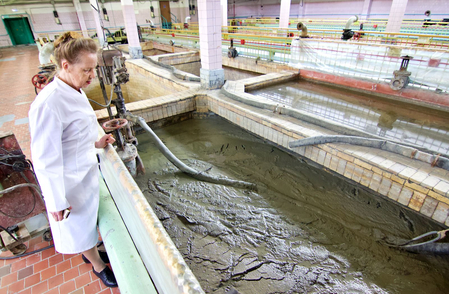 Санаторий «Бальнеогрязелечебница», Железноводск, изображение 54