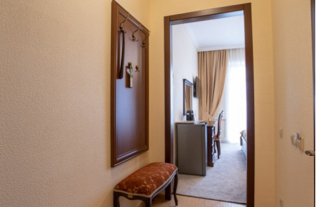 Номер Однокомнатный двухместный Стандарт (26 м2) - Санаторий «Буковая Роща», Железноводск - 5