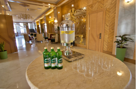 Санаторий «Парк Шафран», Ессентуки, изображение 75