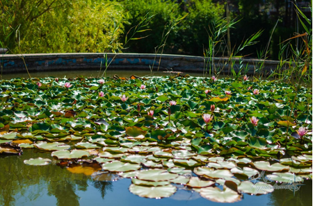 Санаторий «Северный», Евпатория, изображение 56